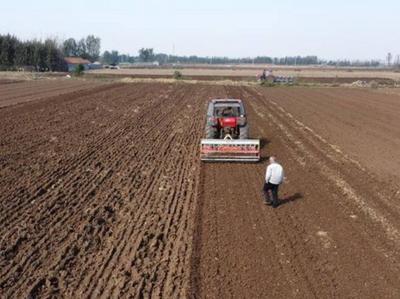 即墨区在这两个镇街推进高标准农田建设