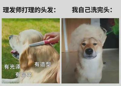 青岛电影学院：餐厅水果捞老板原来是“托尼老师”！