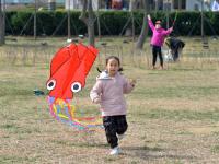 纸鸢漫天飞，这才是春天正确的打开方式