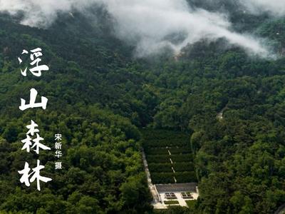 漫步湿地，种一棵树！观海喊你一起“碳”索