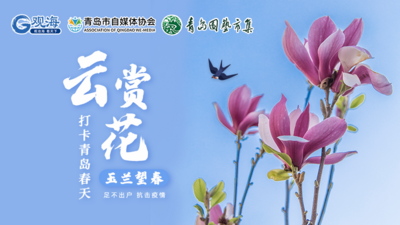 “云赏花”直播① | 玉兰望春 居家抗疫 不负春光