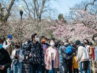 定格春日！中山公园赏花季如约而至