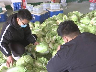 莱西爱心小伙捐赠20吨大白菜、土豆