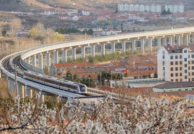 青岛地铁11号线：开往山花烂漫处