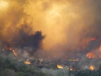 美国得克萨斯州爆发多场山火，数百户居民被疏散