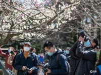定格春日！中山公园赏花季如约而至