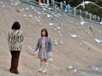 赶紧来“鸥遇”，错过等半年