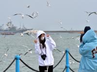 赶紧来“鸥遇”，错过等半年