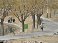 漫步李村河 | 早春信号④