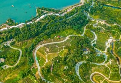 漫步湿地，种一棵树！观海喊你一起“碳”索