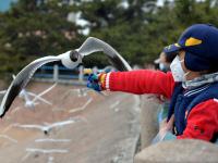 赶紧来“鸥遇”，错过等半年