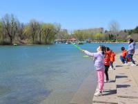 梅花、连翘、垂柳…… 踏青模式开启了