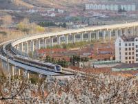 青岛地铁11号线：开往山花烂漫处