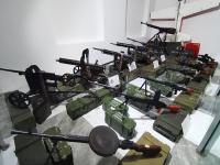 中医药标本、古生物化石、1200余种玫瑰……青岛这处4A级景区“硬核”升级，速来