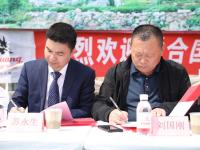 观海实拍：春天的第一杯香茗！崂山茶开始采摘啦