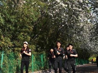 李村公园海棠花开春色满园