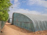 解锁“微度假”新模式！草莓大棚里正热闹