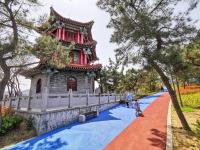 奋进新征程，青岛更精彩③|丹邱“春赏”胜景再现！快来这处市民公园打卡