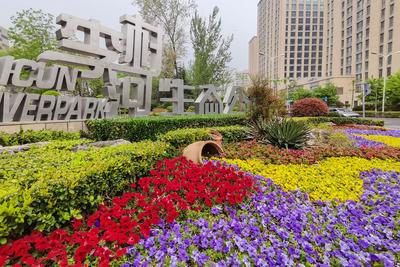 李村河生态公园：春日交响曲|口袋公园兜住“微幸福”①