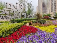 李村河生态公园：春日交响曲|口袋公园兜住“微幸福”①