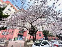 “樱花隧道”，来了