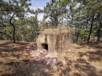 奋进新征程，青岛更精彩③|丹邱“春赏”胜景再现！快来这处市民公园打卡