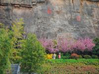 象耳山公园：打翻春的调色盘|口袋公园兜住“微幸福”②