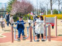 泛舟湖面、赏花踏青，惬意！