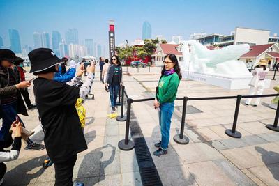 奥帆中心有条8米长的“鲸鱼”，超有故事