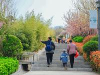 象耳山公园：打翻春的调色盘|口袋公园兜住“微幸福”②