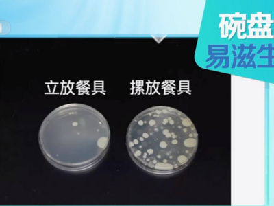 这样洗碗，细菌增加70倍？！