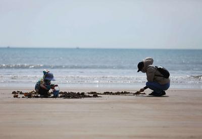 遛娃、看海……假期来这片海好不惬意 