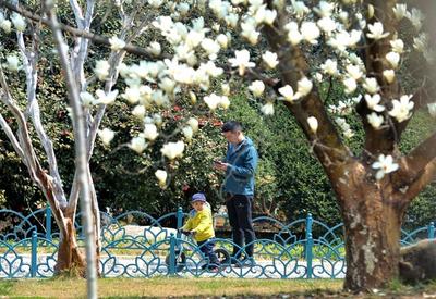 乱花渐欲迷人眼，植物园里春色赞！