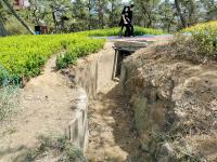 奋进新征程，青岛更精彩③|丹邱“春赏”胜景再现！快来这处市民公园打卡