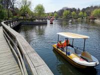 荡舟赏春！中山公园有个“宝藏景区”