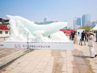 奥帆中心有条8米长的“鲸鱼”，超有故事