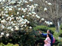 乱花渐欲迷人眼，植物园里春色赞！