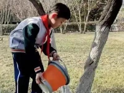 市北实验初中小学部开展植树护绿主题实践活动