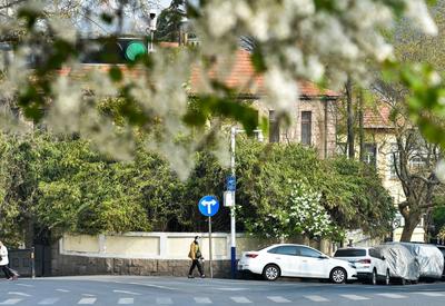 最美人间四月天，来老城区品街角那抹丁香