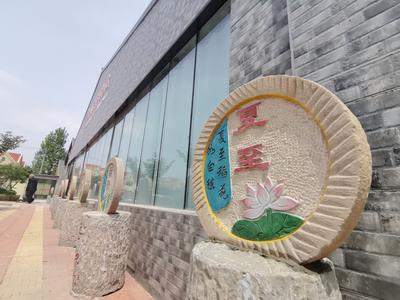 中医药标本、古生物化石、1200余种玫瑰……青岛这处4A级景区“硬核”升级，速来