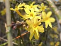 春天的代言地，盛放的百花苑