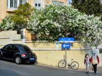 最美人间四月天，来老城区品街角那抹丁香