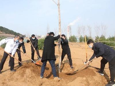 崂山区将在三年内完成森林质量精准提升1.5万亩，已更新造林8605亩