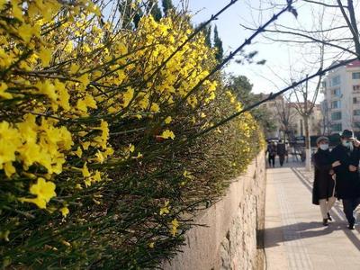 暖热升级！最新全国入春进程图来了，下周初还有新一轮冷空气