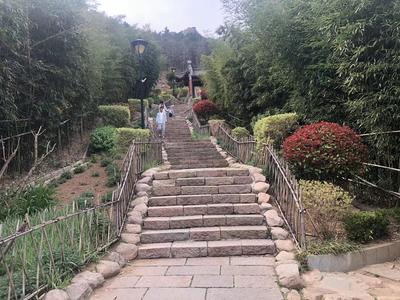 记者在现场|竹子庵公园对游客开放