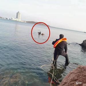 因生活琐事想不开跳海轻生，市南警方一天紧急救助两人