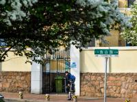 最美人间四月天，来老城区品街角那抹丁香