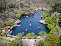 荡舟赏春！中山公园有个“宝藏景区”