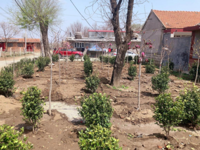 盘活沉睡资源，村庄展露新颜，莱西打响农村残垣断壁整治攻坚战