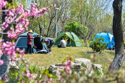 唐岛湾：户外露营成“五一”假期休闲“顶流”